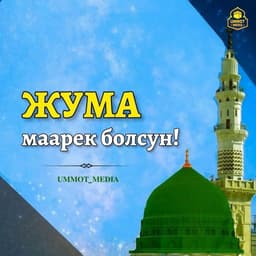 Комната керек бир адамга