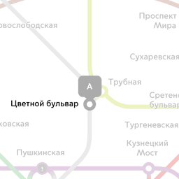 +79175231995