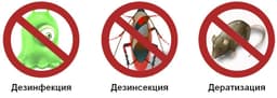Клоп таракан жок кылабыз 100%