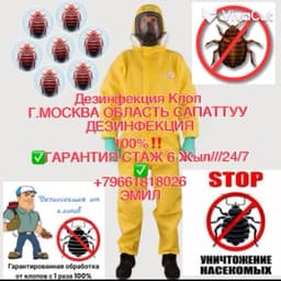 ДЕЗИНФЕКЦИЯ КЛОП ЖердешГ.МОСКВА ОБЛАСТЬ✅ САПАТТУУ ДЕЗИНФЕКЦИЯ 100%‼️ ✅ГАРАНТИЯ✅ СТАЖ 6 Жыл///24/7✅‼️