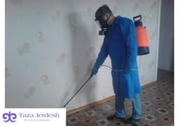 Дезинсекция, обработка 100 процент гарантия стаж 11 жыл