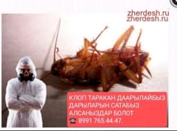 Дезинфекция клоп таракан дарылайбыз 89917654447 Москвада