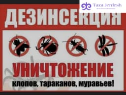 КЛОП ТАРАКАН ЖОК КЫЛАБЫЗ