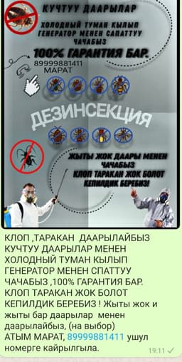 Дезинфекция 
