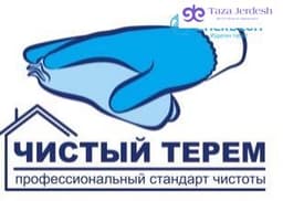 Девушки в бригаду (генеральные уборки)