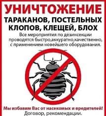 ДЕЗИНФЕКЦИЯ КЛОП ТАРАКАН САПАТТУУ 100% ГАРАНТИЯ 7АЙ 6 ЖЫЛ СТАЖ 24/7