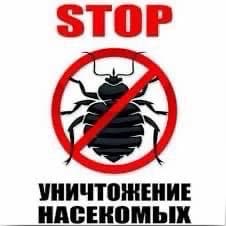 ДЕЗИНФЕКЦИЯ КЛОП ТАРАКАН САПАТТУУ 100% ГАРАНТИЯ 7АЙ 6 ЖЫЛ СТАЖ 24/7