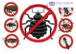 УВЕРЕННАЯ ДЕЗИНФЕКЦИЯ ЛЮБЫХ СЛОЖНОСТИ ☎️
