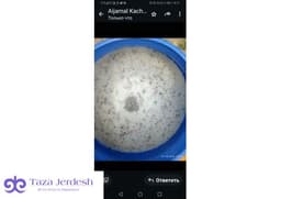 Алайдын таза кымызы, куруту келди. Литири 400р.