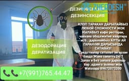 Дезинфекция клоп таракан дарылайбыз 