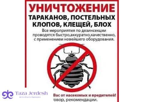 ДЕЗИНСЕКЦИЯ КЛОП❤️ТАРАКАН ДЕЗИНФЕКЦИЯ  ДААРЫЛАП БЕРЕБИЗ❤️