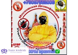 ДЕЗИНСЕКЦИЯ КЛОП❤️ТАРАКАН ДЕЗИНФЕКЦИЯ  ДААРЫЛАП БЕРЕБИЗ❤️
