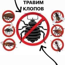 ДЕЗИНСЕКЦИЯ КЛОП ТАРАКАН САПАТТУУ 100% ГАРАНТИЯ 7АЙ 6 ЖЫЛ СТАЖ 24/7

