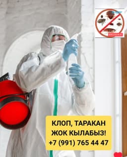 Дезинфекция клоп таракан дарылайбыз 