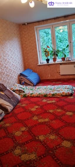 койко место балдарга