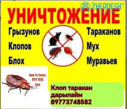 Клоп таракан дарылайбыз 