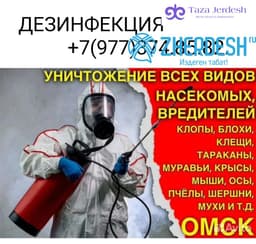 Клоп таракан даарылайбыз