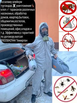 Клоп таракан ДАРЫЛАЙБЫЗ ГАРАНТИЯСЫ менен