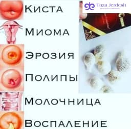 Фито тампоны Фохоу