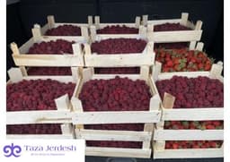 Малина, Клубника, Смородина из Кыргызстана