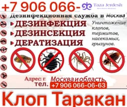 🪳🪳 дизинфексия  🪳🪳