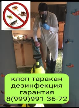 Хлоп клоп таракан дезинфекция