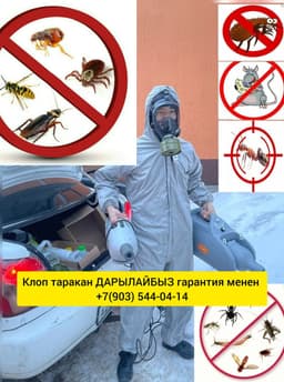 Клоп таракан жок кылам ГАРАНТИЯСЫ МЕНЕН