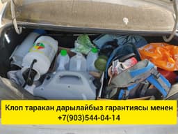 Клоп таракан жок кылам ГАРАНТИЯСЫ МЕНЕН