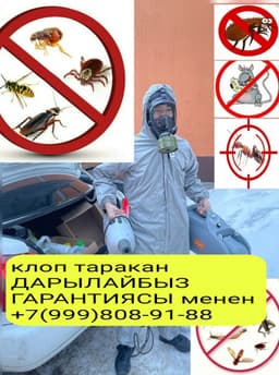 Дезинфекция клоп клоп таракан гарантия