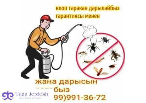 КЛОП ХЛОП ТАРАКАН ЖОК КЫЛАБЫЗ ГАРАНТИЯ  ДОГОВОР СЕРТИФИКАТ БАР