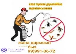 КЛОП ХЛОП ТАРАКАН ЖОК КЫЛАБЫЗ ГАРАНТИЯ  ДОГОВОР СЕРТИФИКАТ БАР