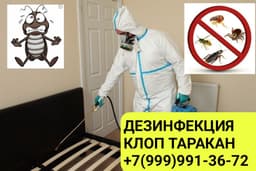 Клоп таракан ДАРЫЛАЙБЫЗ ГАРАНТИЯСЫ МЕНЕН