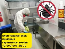 Дезинфекция клоп таракан ДАРЫЛАЙБЫЗ гарантия бар