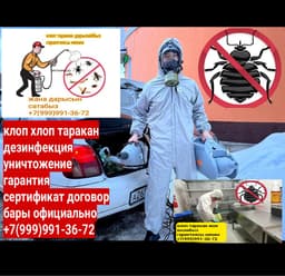 Дезинфекция клоп таракан 