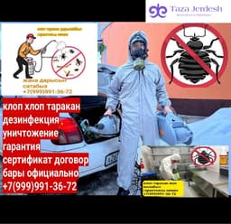 дезинфекция клоп таракан ДАРЫЛАЙБЫЗ