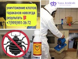 дезинфекция клоп таракан ДАРЫЛАЙБЫЗ