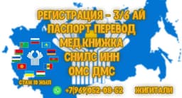 Документ жардам