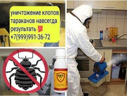Клоп таракан ДАРЫЛАЙБЫЗ гарантия бар