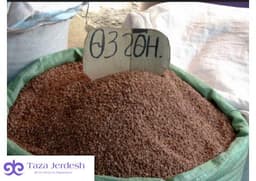 Озгон гүрүч Сатам